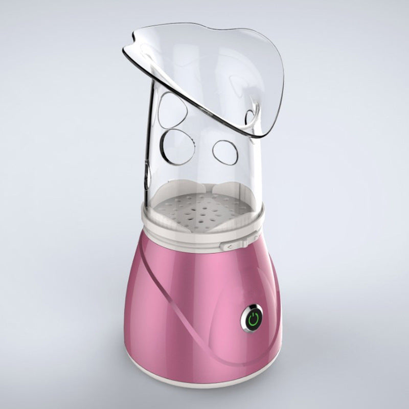 Ionic Facial Steamer