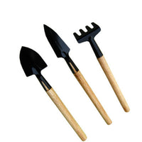 Gardening Tools Succulent Gardening Supplies Set for Planting Flowers Green Plants Succulents