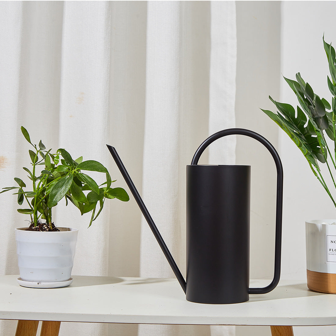 Designer Elegant Style Stainless Steel Watering Can for Indoor and Outdoor Gardening