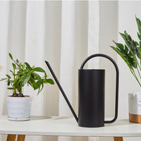 Designer Elegant Style Stainless Steel Watering Can for Indoor and Outdoor Gardening
