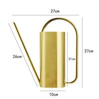 Designer Elegant Style Stainless Steel Watering Can for Indoor and Outdoor Gardening