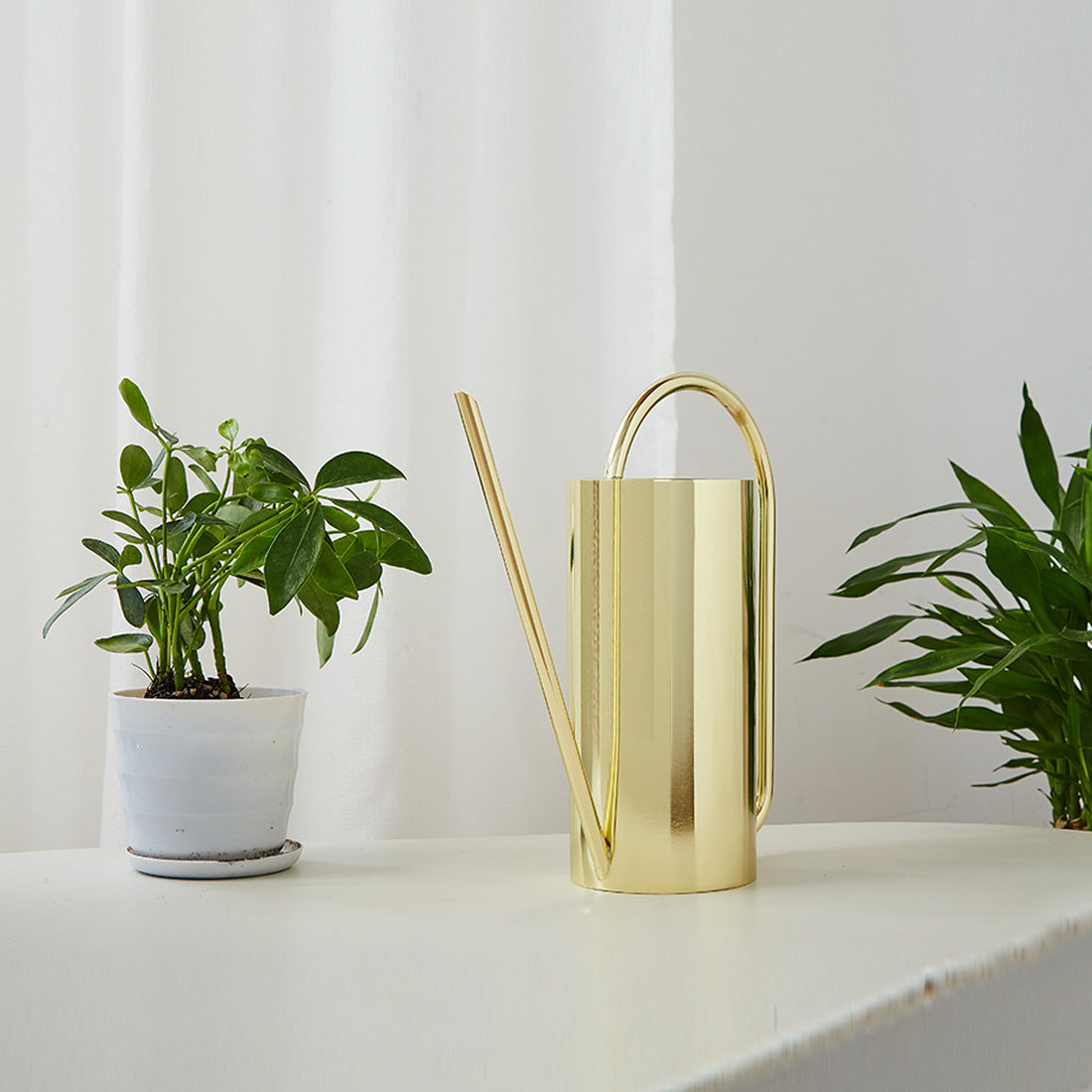 Designer Elegant Style Stainless Steel Watering Can for Indoor and Outdoor Gardening