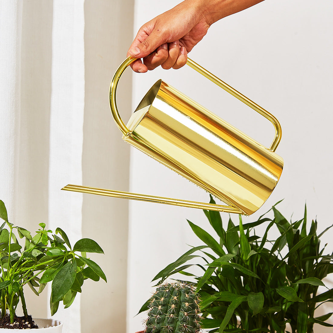 Designer Elegant Style Stainless Steel Watering Can for Indoor and Outdoor Gardening