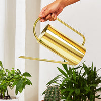 Designer Elegant Style Stainless Steel Watering Can for Indoor and Outdoor Gardening