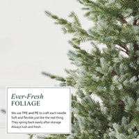 7.5ft Artificial Christmas Tree Pre-Lit with 4,076 Branch Tips & 1,518 Low-Voltage Warm LED Lights