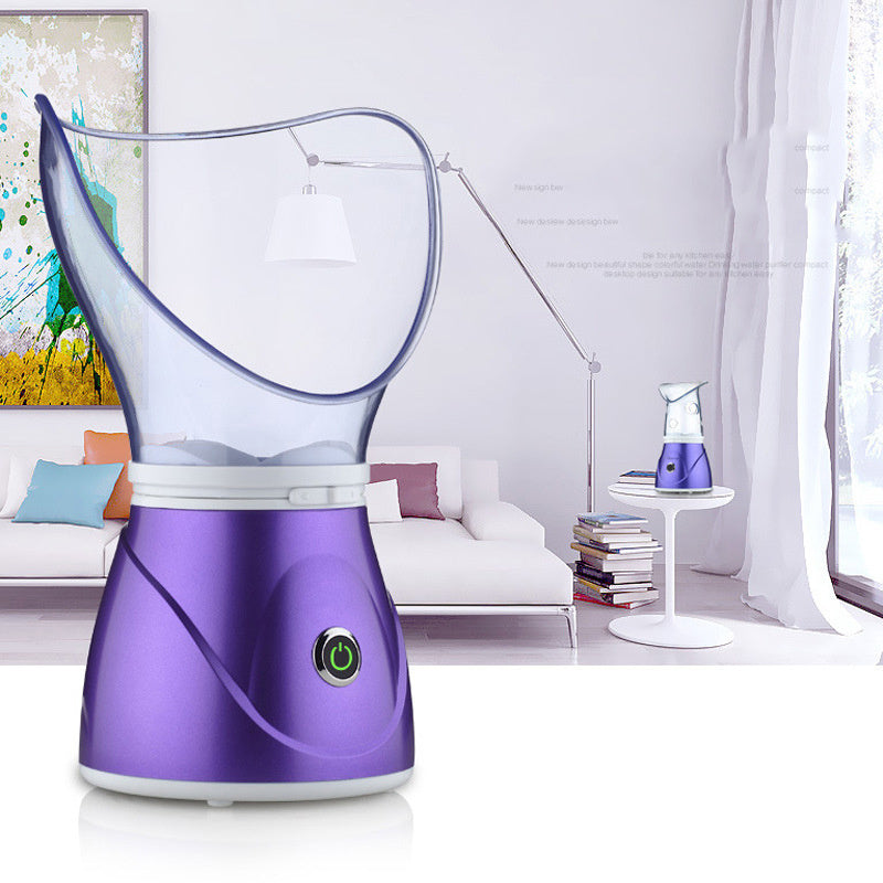Ionic Facial Steamer