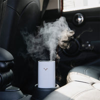 Aromatherapy Starry Night Light Projector Humidifier