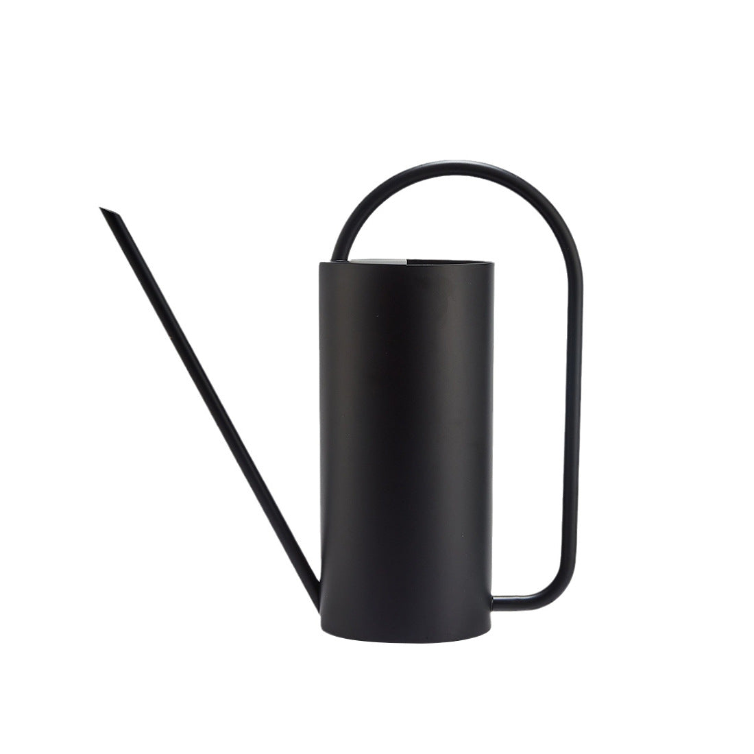 Designer Elegant Style Stainless Steel Watering Can for Indoor and Outdoor Gardening