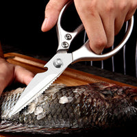 Stainless Steel Kitchen Scissors with Bottle Opener
