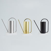 Designer Elegant Style Stainless Steel Watering Can for Indoor and Outdoor Gardening